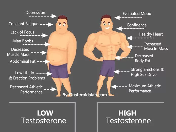 Human Chorionic Gonadotropin